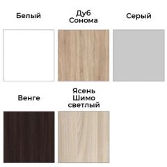 Шкаф-купе ХИТ 22-12-55 (620) | фото 3