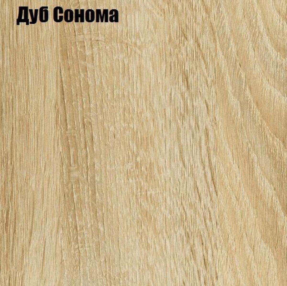 Шкаф-купе Лофт 1200 Шк12-60 (Дуб Сонома) | фото 4